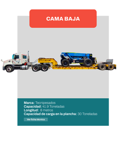 Cama-Baja