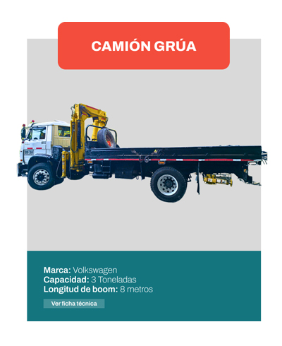 Camión-Grua