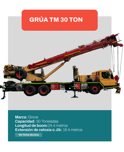 Grua-TM-30-Ton