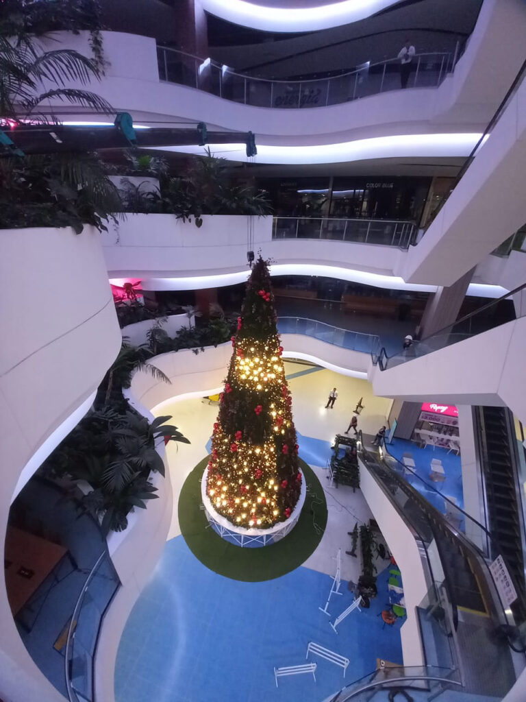 Gruas-telescopicas-mini7